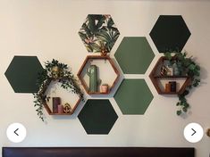 three hexagonal shelves on the wall above a bed with plants and potted plants