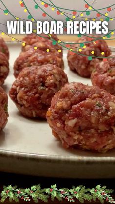 several raw meatballs on a baking sheet with christmas lights in the background text reads wild boar recipes