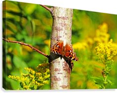 a butterfly sitting on top of a tree next to green leaves and yellow flowers in the background