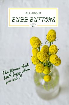 a vase filled with yellow flowers sitting on top of a white table next to a sign that says, all about buzzz buttons