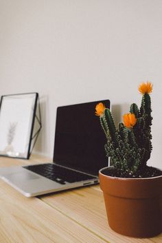 a laptop computer sitting on top of a wooden desk next to a potted cactus