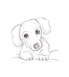 a pencil drawing of a dog laying down