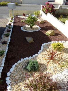 a very nice looking garden with some rocks and plants in the front yard, but no grass