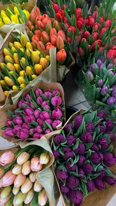 many different colored tulips are on display