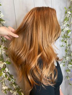 Cooper Golden Blonde Hair, Light Copper Highlights On Blonde Hair, Copper Honey Blonde Hair, Strawberry Blonde Golden Hair, Light Copper Hair With Highlights, Dark Roots Copper Ends, Strawberry Blonde Babylights, Brown Hair With Copper And Blonde Highlights, Light Red Balayage