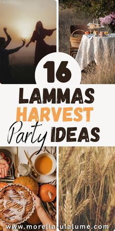 In our blog post we share 16 ideas how to celebrate Lammas - the first harvest festival of the wheel of the year. There are many pagan and wiccan traditions for this festive day like baking bread, building an altar, foraging, making food. We look at correspondences of crystals and herbs to get get the most out of this magical time of the year. We also share about the history and how to set-up your own Lammas party or how to do rituals on your own. Celtic Wedding Traditions, Lammas Lughnasadh, Crystals And Herbs, Origin Of Halloween, The Wheel Of The Year, Harvest Fest, Celtic Festival, Harvesting Herbs, Green Witchcraft