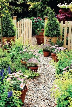 a garden filled with lots of different types of potted plants and flowers next to a wooden fence