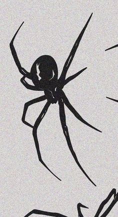 a black and white drawing of a spider