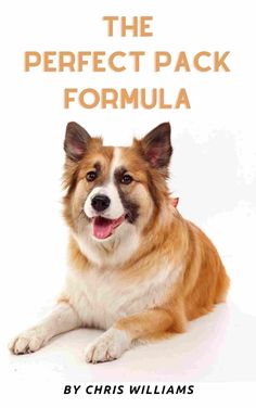 the perfect pack formula for dogs is shown in front of a white background with an orange border