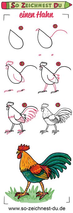 an illustrated drawing of different types of chickens and roosters in various stages of flight