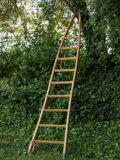 a wooden ladder leaning up against a tree