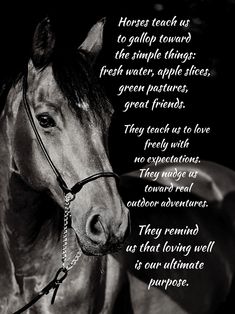 a black and white photo of a horse with a poem on it's face