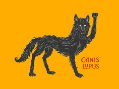 a black and red drawing of a wolf with the words canis ludus on it