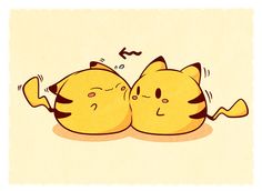 two yellow cats laying next to each other