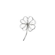 a drawing of a four leaf clover