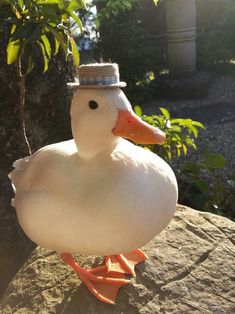 a duck with a hat on its head is sitting on a rock in the sun