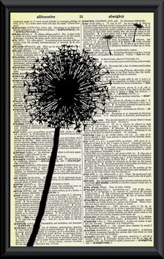 a dandelion silhouette on an old book page