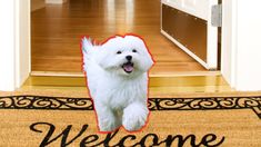 a white dog standing on top of a welcome mat