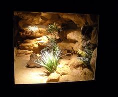 some plants are growing out of the rocks in this cave at night with lights shining on them