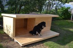 a dog house built into the ground with a black and white dog sitting in it