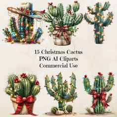 christmas cactus cliparts for commercial use in adobe, pst and png