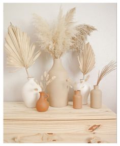 some vases and plants are sitting on a table