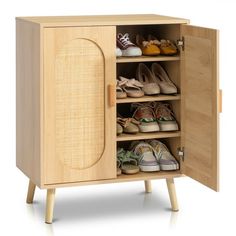 an open cabinet with many pairs of shoes in it