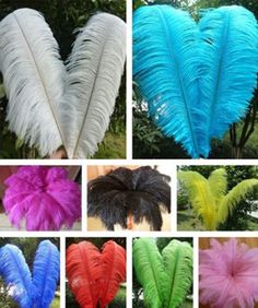 several different colors of feathers in various shapes and sizes