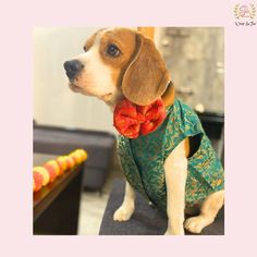 a beagle dog wearing a green dress with red bows on it's collar