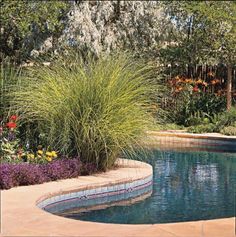 a small pool surrounded by flowers and plants