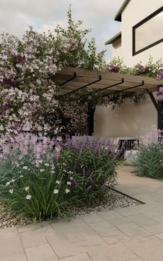 an outdoor area with flowers and plants on the ground