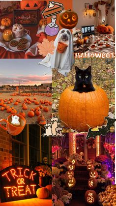 a collage of halloween images with pumpkins and cats