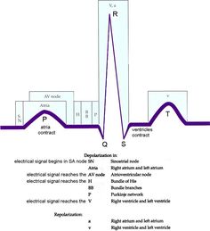 the diagram shows an electrical signal and its corresponding functions in which it is important to understand that there are two different types of signals