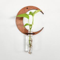 a plant in a glass vase sitting on top of a wooden wall mounted clock with a crescent