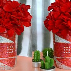 two vases with red flowers are sitting on a table next to cactuses and succulents