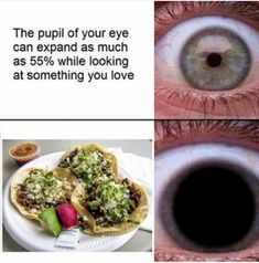 Heart Tacos, Tacos And Tequila, Michelada, Hilarious Memes, 4 Life, Tequila, Guacamole