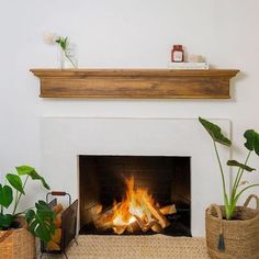 a fireplace that has some plants on top of it and two candles in the background