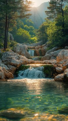 a stream running through a forest filled with lots of rocks and water flowing down it's sides