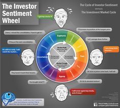 the inventor's sentiment wheel infographical poster for investment and investments in india