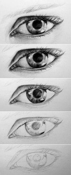 four different types of eyes are shown in this drawing