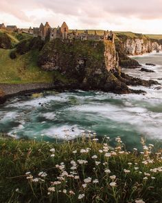 an old castle sits on top of a cliff overlooking the ocean with wildflowers in foreground