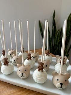 there are many cake pops with teddy bears on them