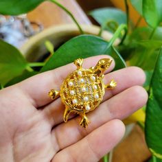 Vintage Joan Rivers Classic Quartz Turtle Faux Pearl Watch Boucher Brooch Pin. Adorable. Untested. I sell found estate jewelry and therefore can make no guarantees that watches will work. Selling as is. Approx 4cm. Beautiful watch. . . . estate jewelry classy elegant gift gifts present presents stocking stuffers face case dial bezel face dial band indices model women womens women's woman womans woman's watches shape shaped dainty numerals white gold tone analog classic animal animals tortoise si Pearl Watch, Jewelry Classy, Beautiful Watch, Joan Rivers, Women Wrist Watch, Beautiful Watches, Women's Watch, Elegant Gift, Wrist Watches