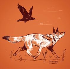 a drawing of a fox and a bird flying in the sky