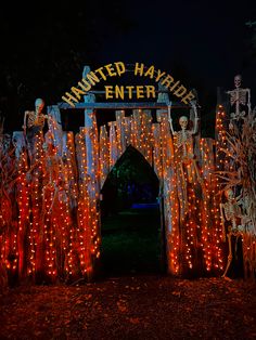 an entrance to a halloween themed garden at night with lights on the trees and decorations