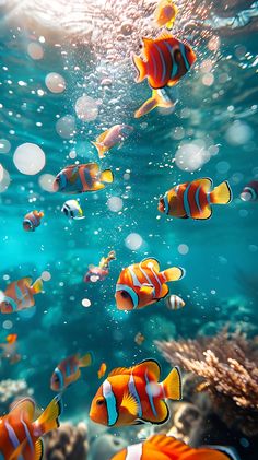 an underwater scene with many different colored fish