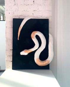 a white snake on a black background in front of a brick wall with sunlight coming through the window