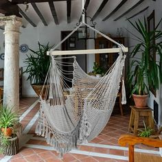 a hammock hanging from the ceiling in a room filled with potted plants