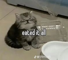 a cat sitting on the floor next to a water bottle that says eated it all