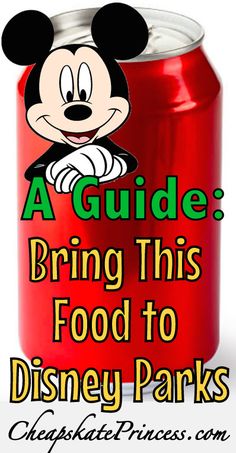 a guide to bring food to disney parks